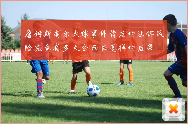 詹姆斯高尔夫球事件背后的法律风险究竟有多大会面临怎样的后果