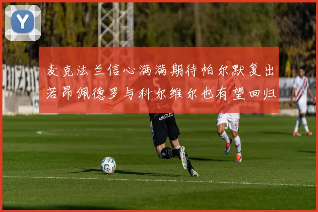 麦克法兰信心满满期待帕尔默复出若昂佩德罗与科尔维尔也有望回归